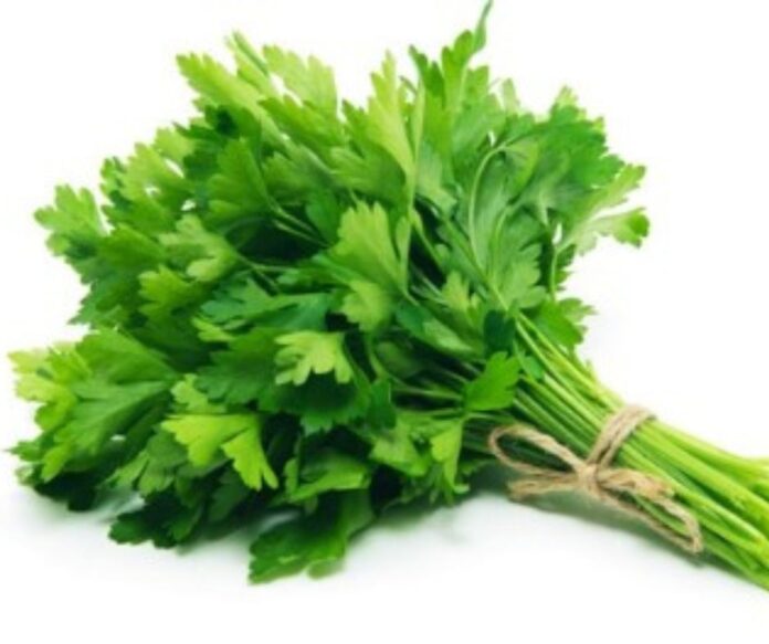 maydanozun faydaları